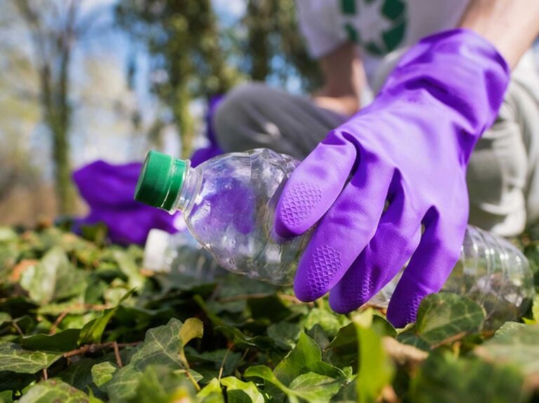 Culture & Environment Change